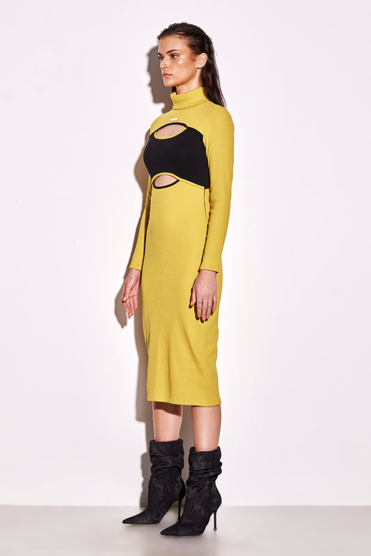 Turtle Neck Midi Dress